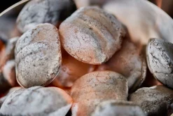 ohgreen Kokosbriketten 8kg