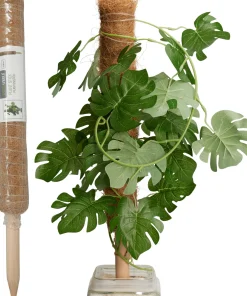 ohgreen Kokosplantenstok