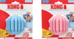 ohgreen Kong puppy activity ball m