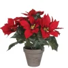 ohgreen Kunststof poinsettia in pot