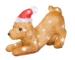 ohgreen Led hond acryl steady