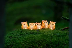 ohgreen Lichtsnoer 5 acryl uilen 5m 40led warmwit voor buiten