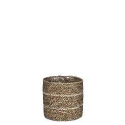 ohgreen Mand celestial