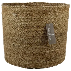 ohgreen Mand chennai