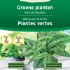 ohgreen Meststofstaafjes voor groene planten 40 stuks