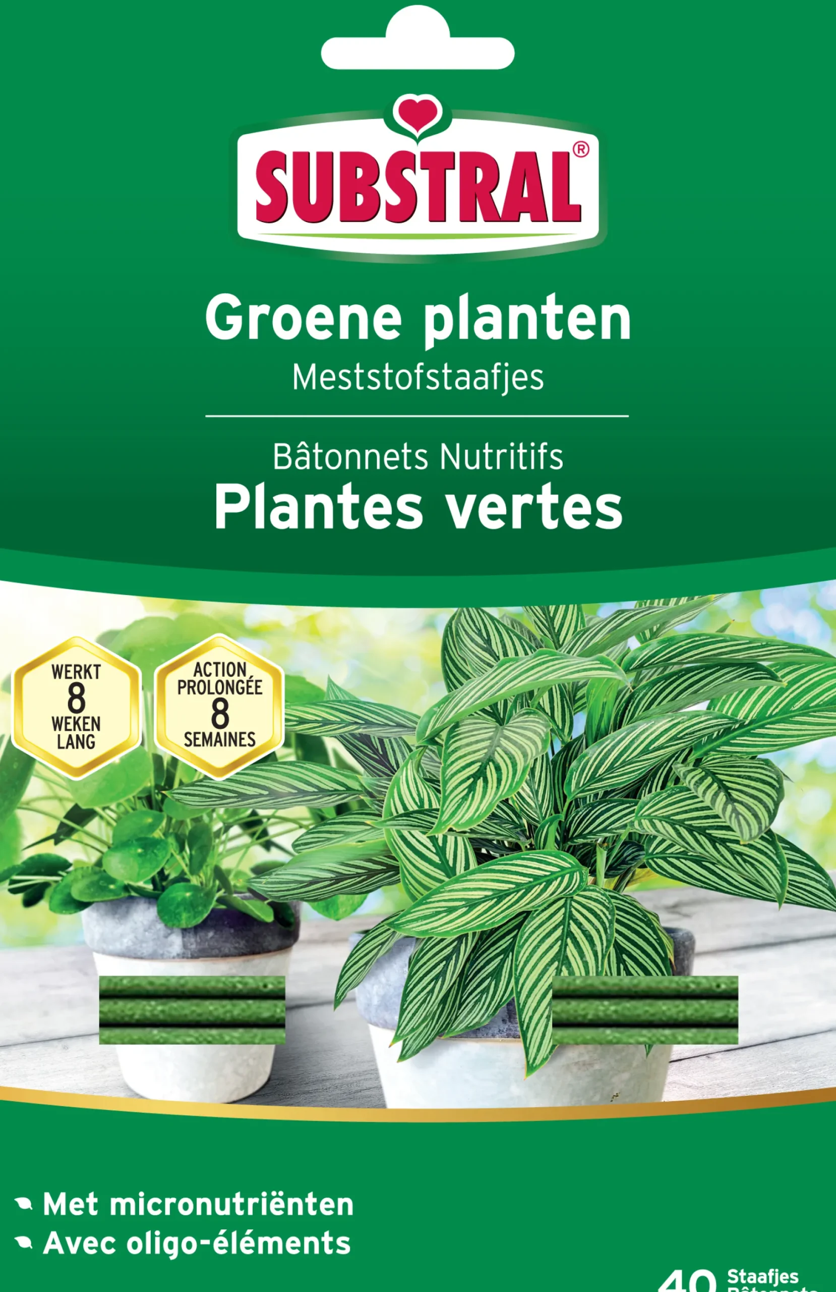 ohgreen Meststofstaafjes voor groene planten 40 stuks