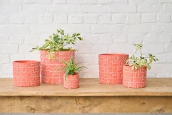 ohgreen MINIPOT D8 METRIC KORAAL