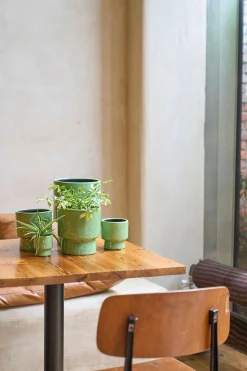 ohgreen MINIPOT D7,5 MOON GRASGROEN