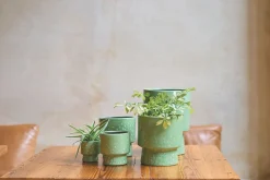 ohgreen MINIPOT D7,5 MOON GRASGROEN