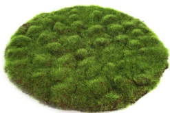 ohgreen Mosschijf marchantiophyta l