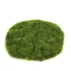 ohgreen Mosschijf marchantiophyta xs