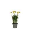 ohgreen Narcis in gele plastic pot - h26xd8,5cm