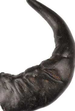 ohgreen Nature snack hoorn large 1stuk