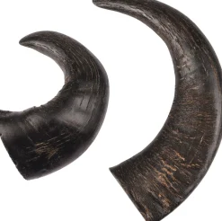 ohgreen Nature snack hoorn medium 2stuks