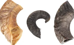 ohgreen Nature snack schaapshoorn 200gr