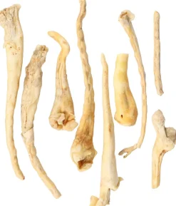 ohgreen Nature snack schaapsstaart 200gr