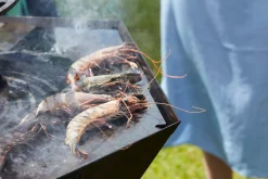 ohgreen Nestor Original zwart