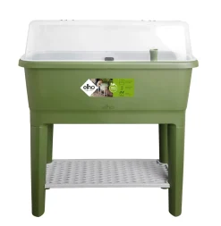 ohgreen Noa kweektafel