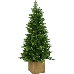 ohgreen Norfolk pe table tree w/pot 137cm 200l transfo