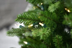 ohgreen Norfolk pe table tree w/pot 137cm 200l transfo