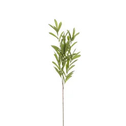 ohgreen Olijf branche groen - l85cm