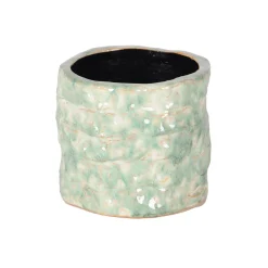 ohgreen Orchidee pot reef