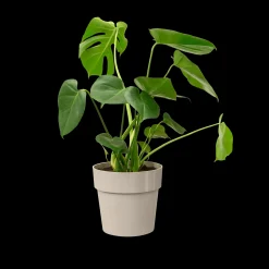 ohgreen ORIGINAL ROND 30CM WARM GRIJS