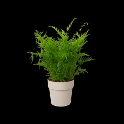 ohgreen ORIGINAL ROND 16CM WARM GRIJS