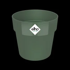 ohgreen ORIGINAL ROND MINI 7CM BLAD GROEN