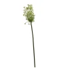 ohgreen Ornithogalum groen 71 cm
