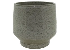 ohgreen Oxygen pot reactiv