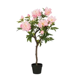 ohgreen Pioen in pot - l40xb50xh96cm