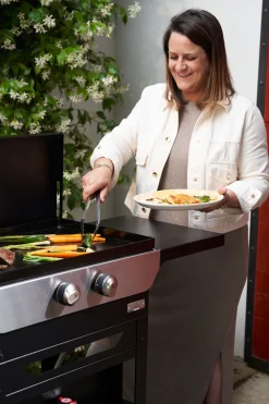 ohgreen Plancha gas Original 260 Duo Edition