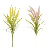 ohgreen Pluimgras - l58cm