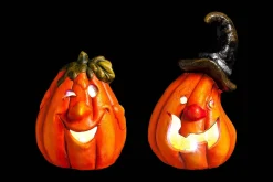 ohgreen Pompoen m led licht