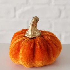 ohgreen Pompoen patches