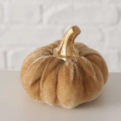 ohgreen Pompoen patches