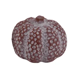 ohgreen Pompoen 12x10cm