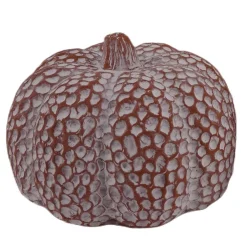 ohgreen Pompoen 16x12cm