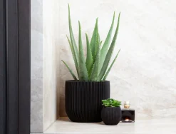 ohgreen Pot bol groove 14x13