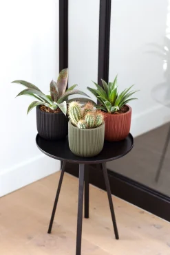 ohgreen Pot bol groove 14x13