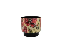 ohgreen Pot camelia poppy d15 h14