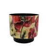 ohgreen Pot camelia poppy d20 h19