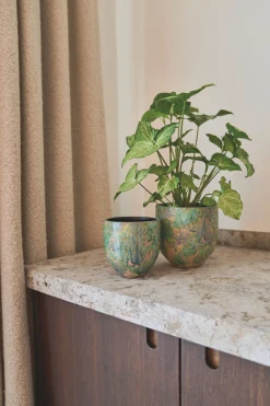 ohgreen POT D44 ARRAY GRASGR