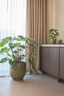 ohgreen POT D44 ARRAY GRASGR