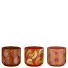 ohgreen Pot fruit oranje roze paars 3 assorti display - h10,5xd12cm