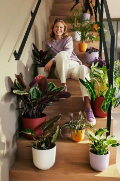 ohgreen Pot jazz rond 14cm lavendel lila