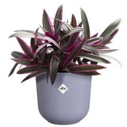 ohgreen Pot jazz rond 19cm lavendel lila
