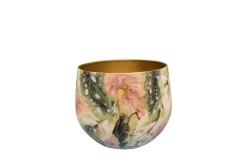 ohgreen Pot monstera mystery d17 h14