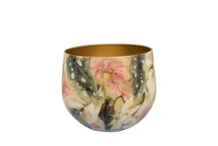 ohgreen Pot monstera mystery d21 h17